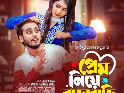 প্রেম নিয়ে বাড়াবাড়ি | Prank King | Miraz Khan | Lamha Ansu | SR Sobuj | Bangla New Natok 2024